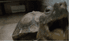 Profile picture of k4A-